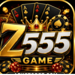 Z555